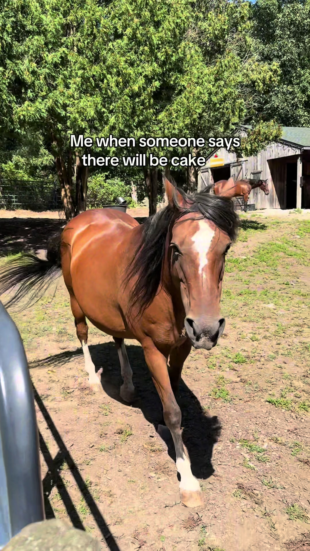 @Equi Evolution