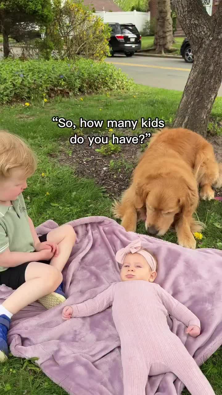 @Dev | mom + dog mom