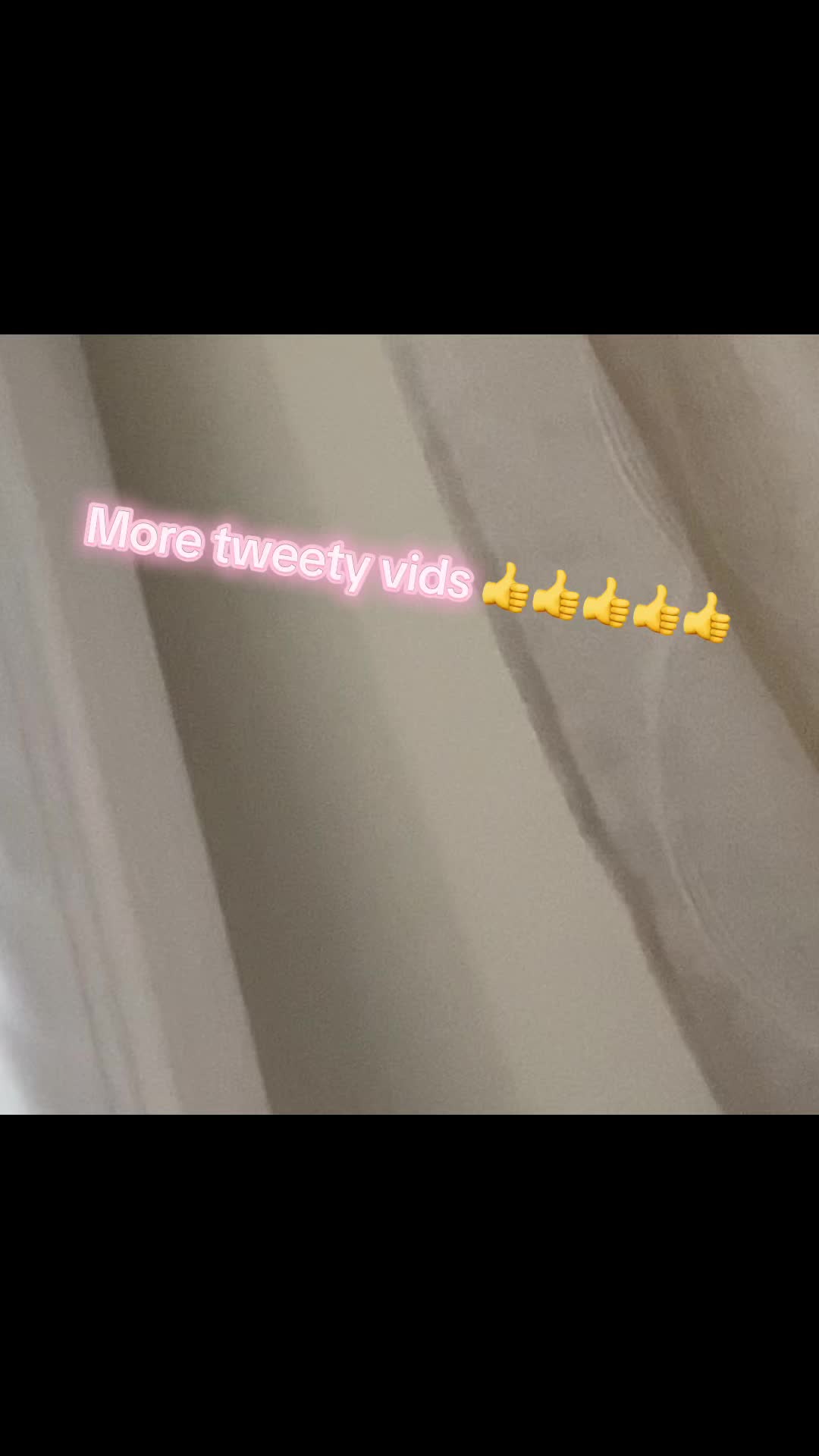 @tweety