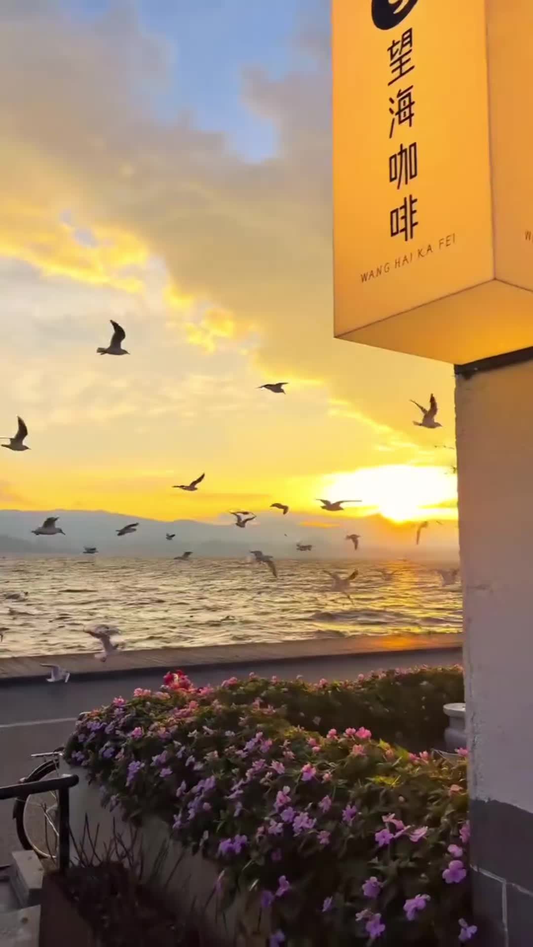 @zohravvh4af