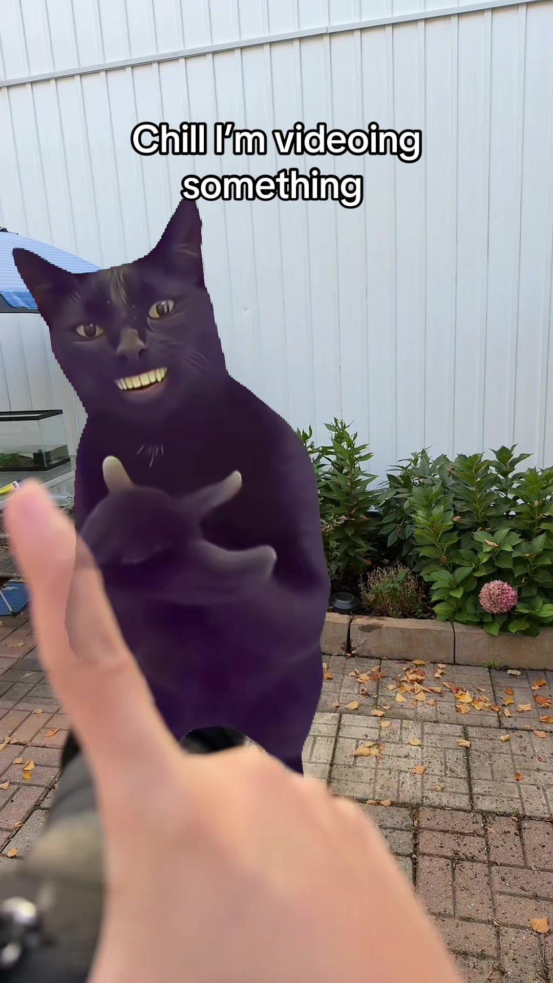 @RAW > JPEG™