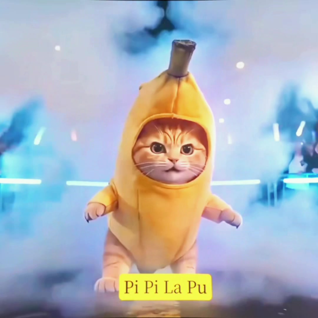 @ʟꜱᴛᴇʀ🪎