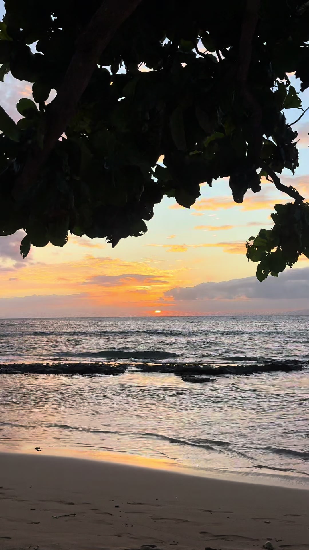 @Mauilani