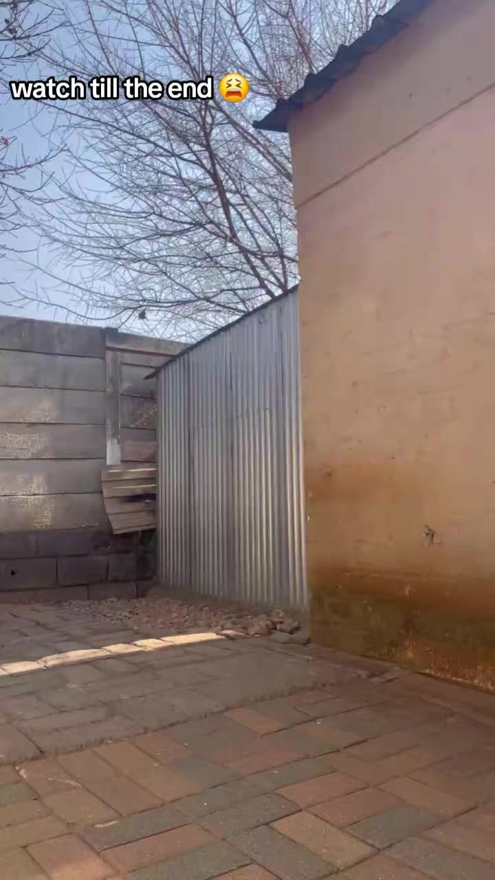 @Fefe Masigo🇿🇦