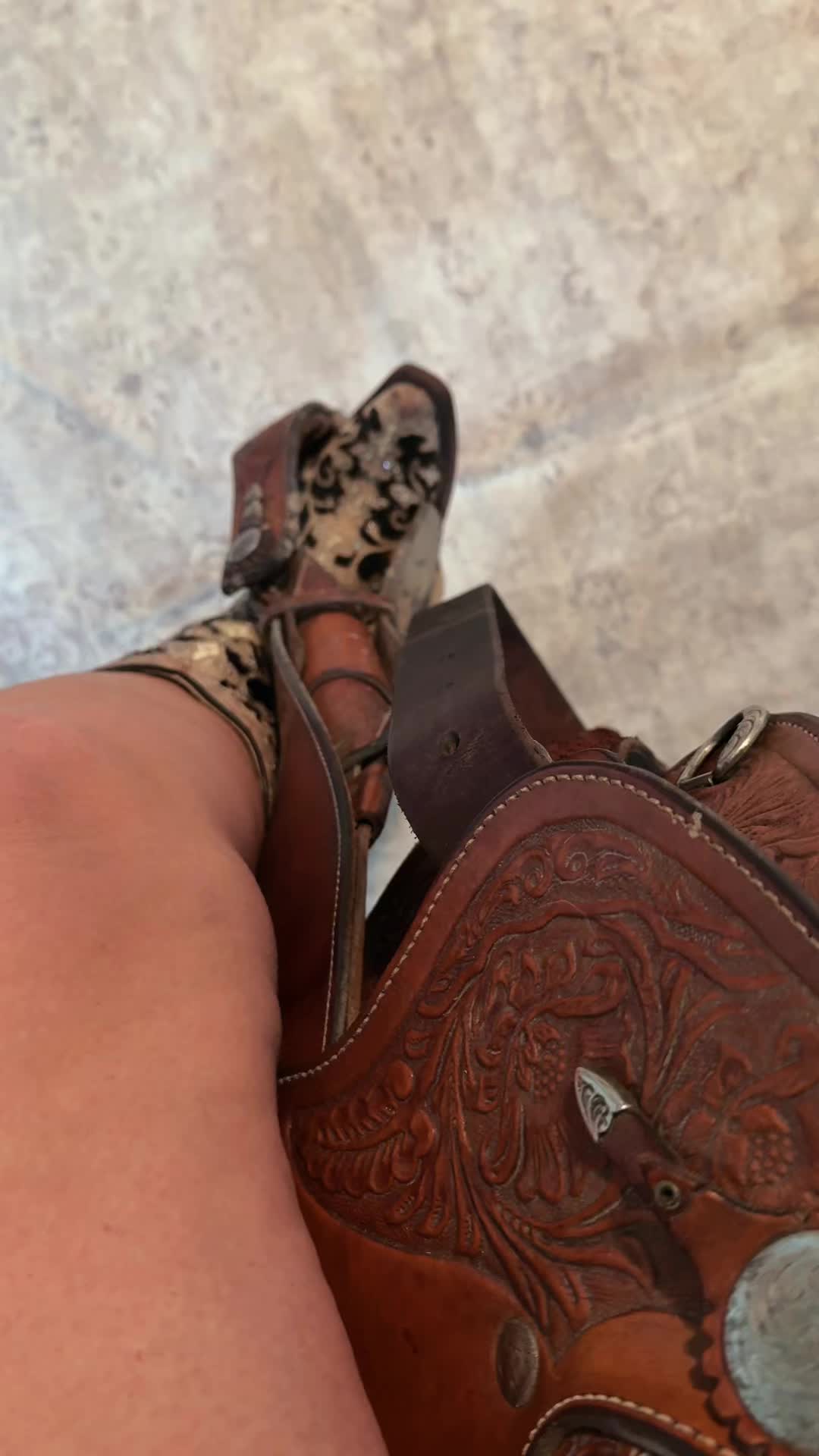 @TheTexanJolene