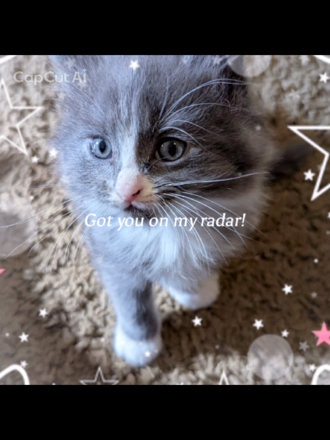 @Pamela