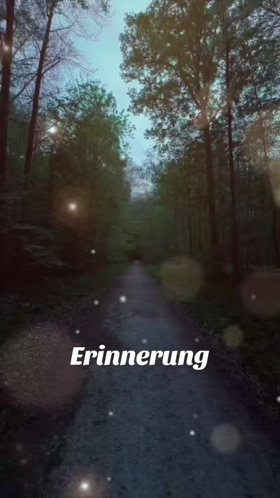@schwabenland71