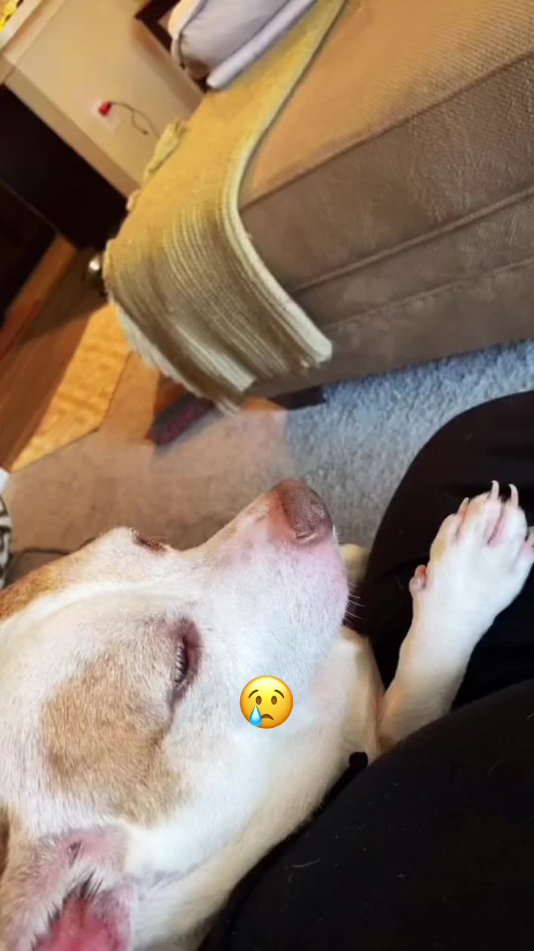 @Ogbabypinky