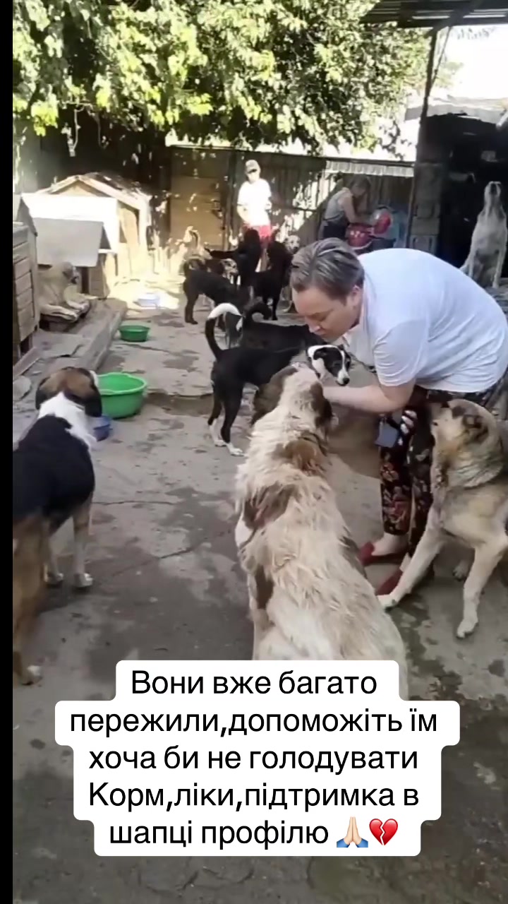 @kvitochki222