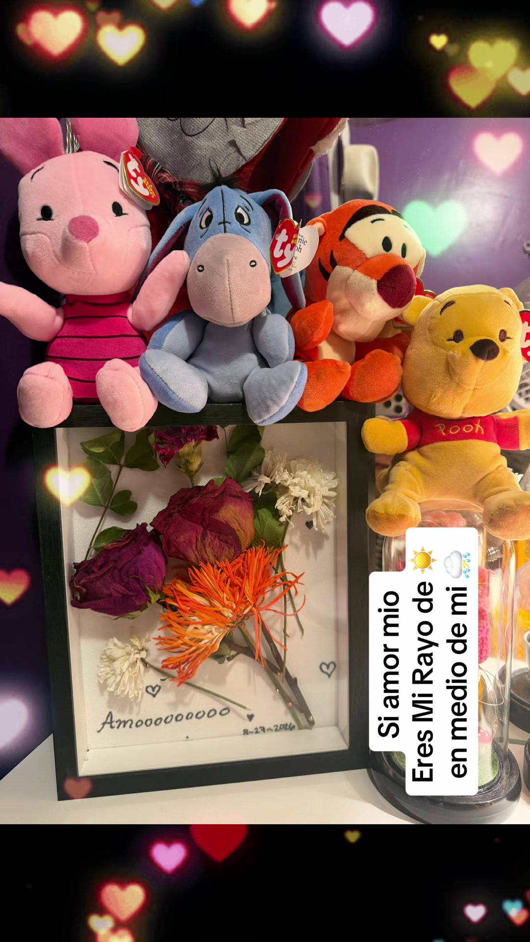 @Sarita Olmos Rosales