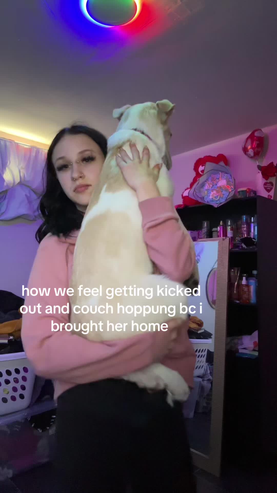 @curtsey