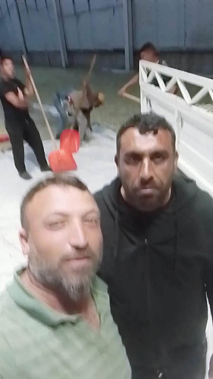 @sarı Kral