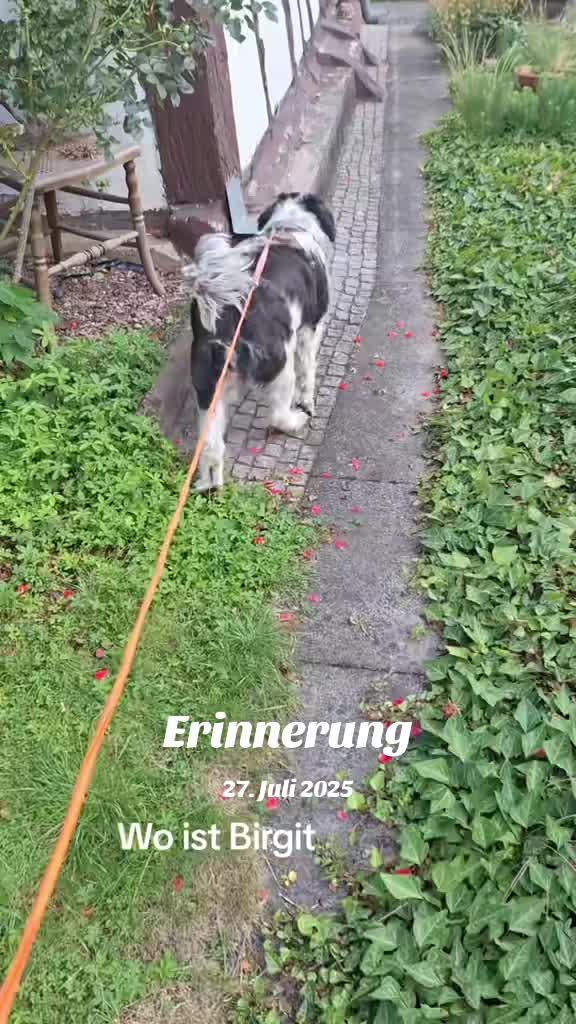 @erichkrauss2
