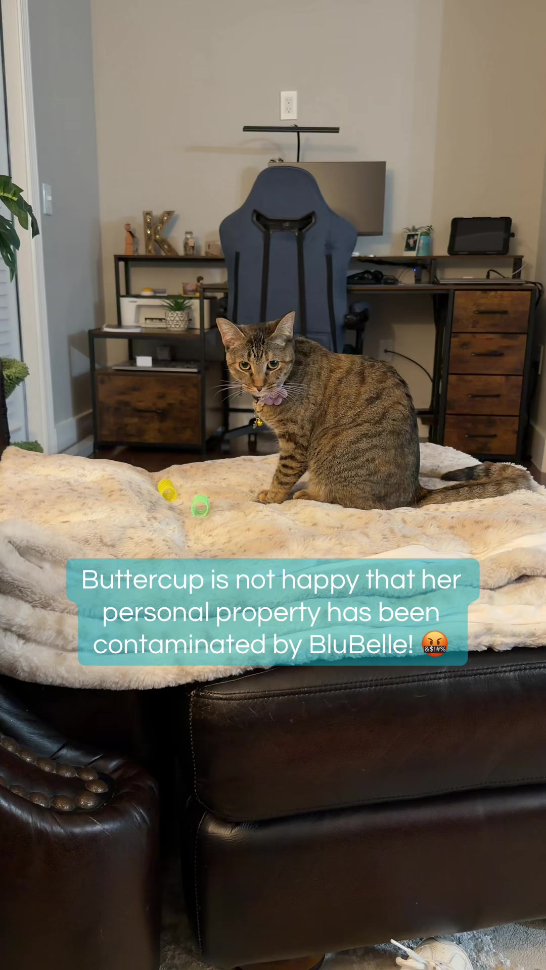 @ButterAndBelle