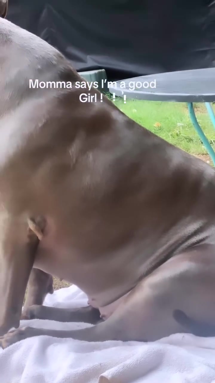 @ganstagirlsoklahoma