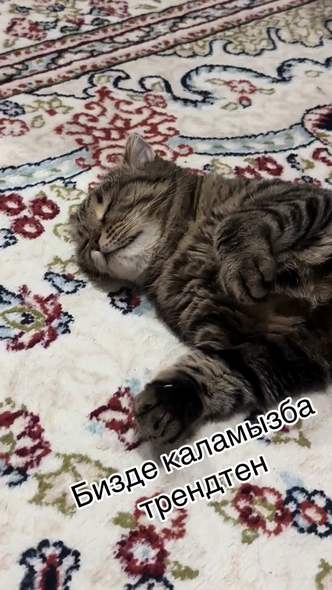 @Arma Iskakova
