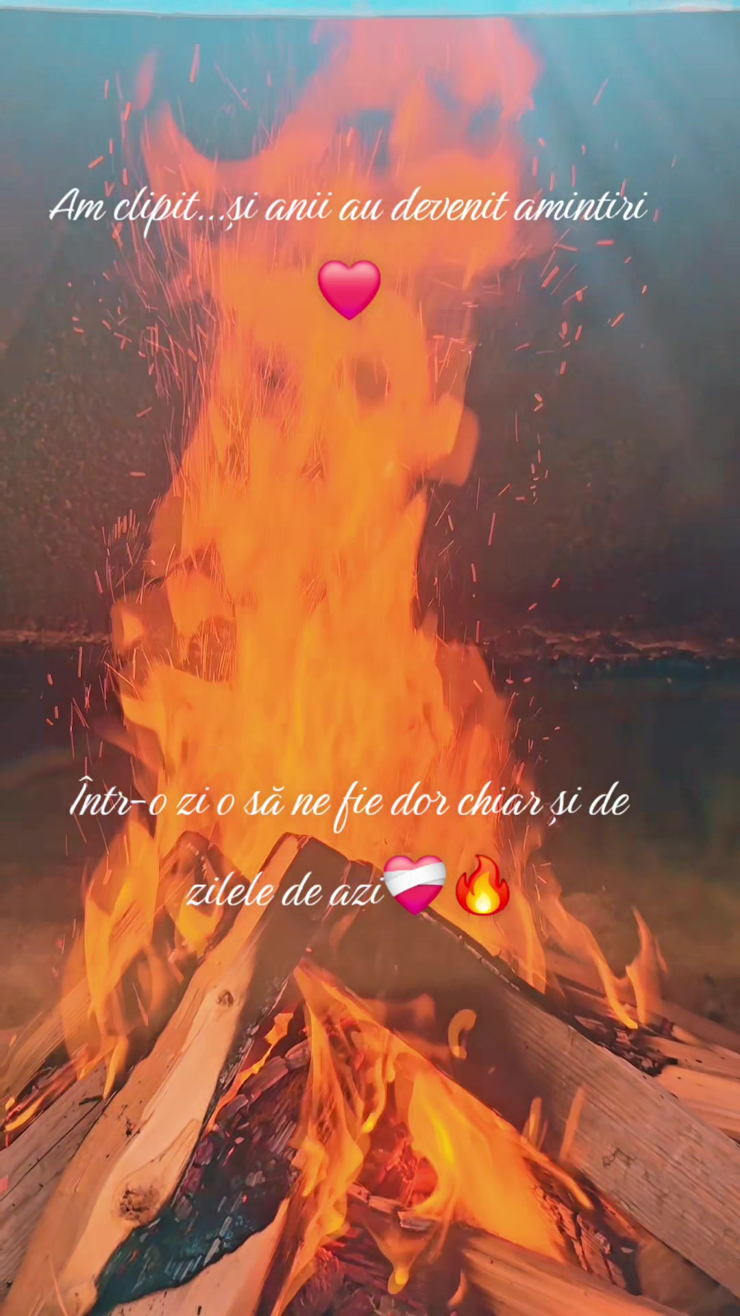 @ank_andreescu867