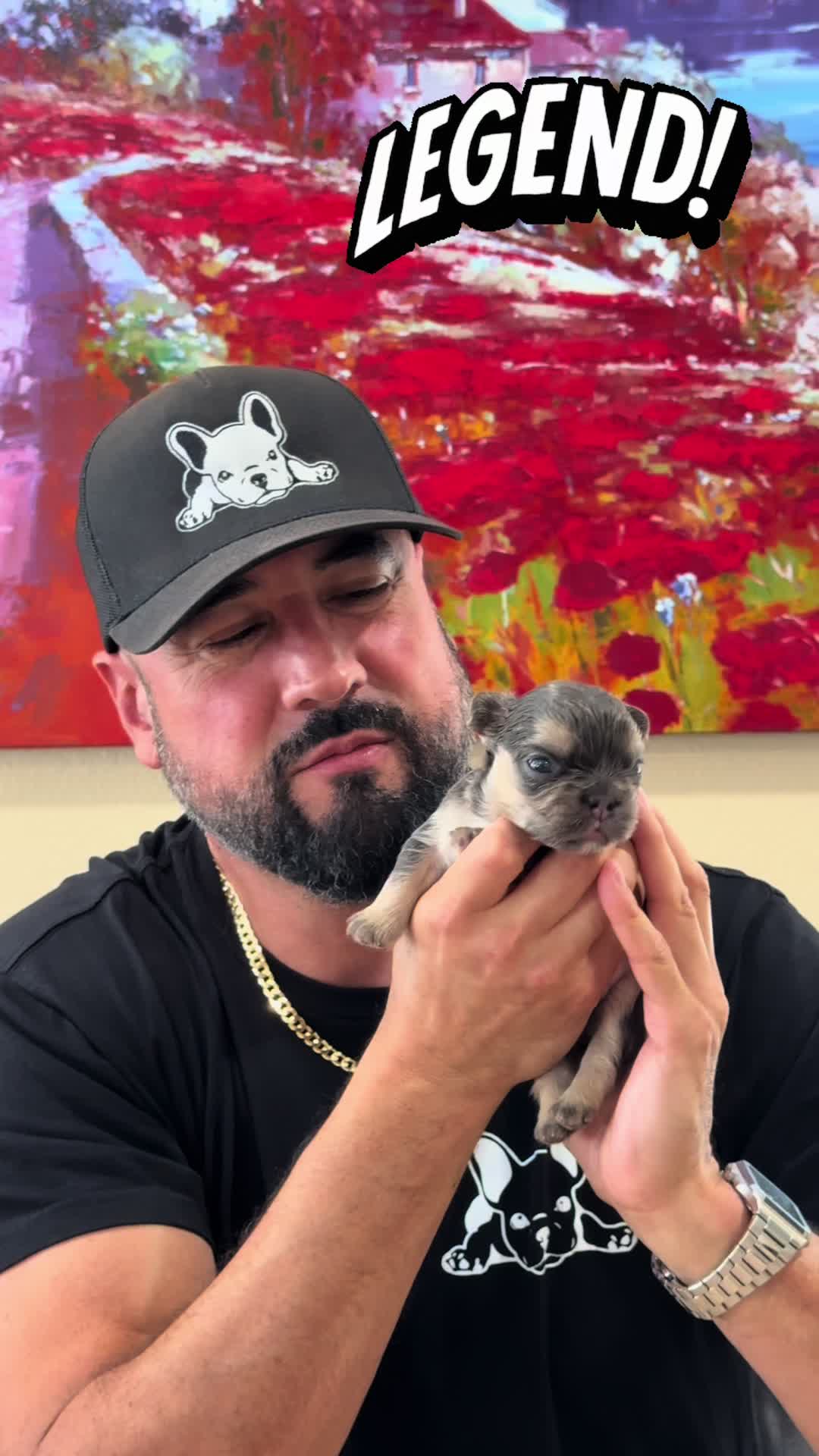 @FriendlyFrenchiesOC