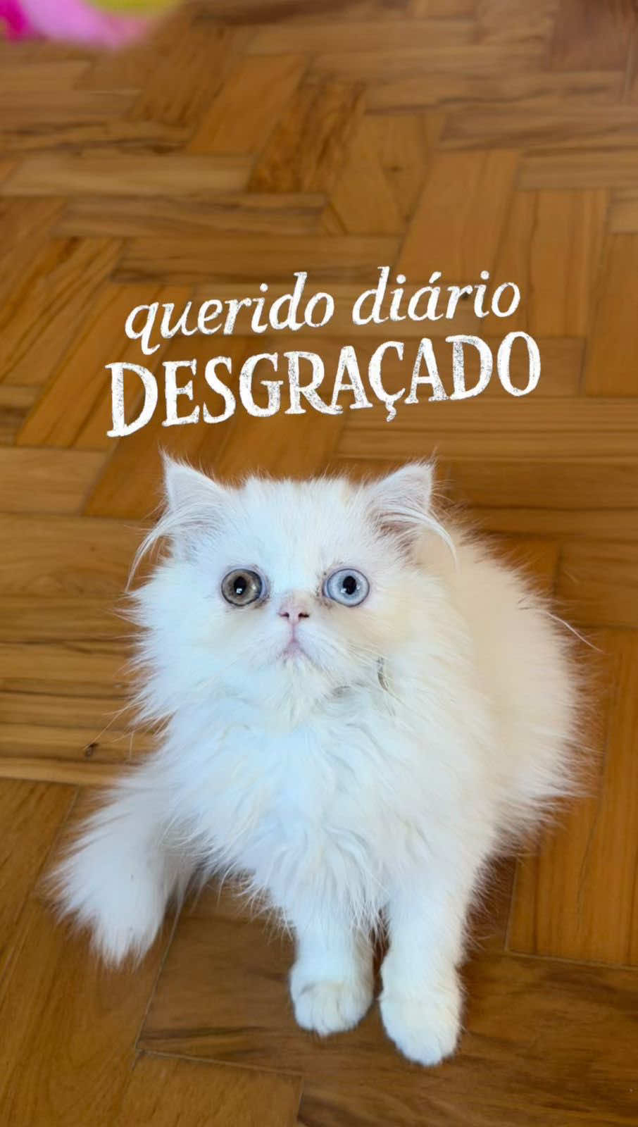 @Nina Baiocchi