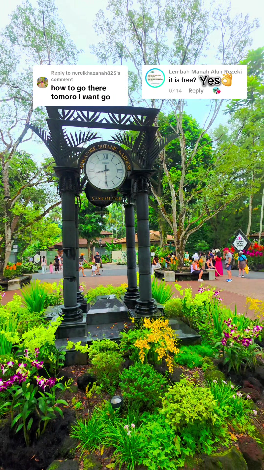 @Adel Singapore