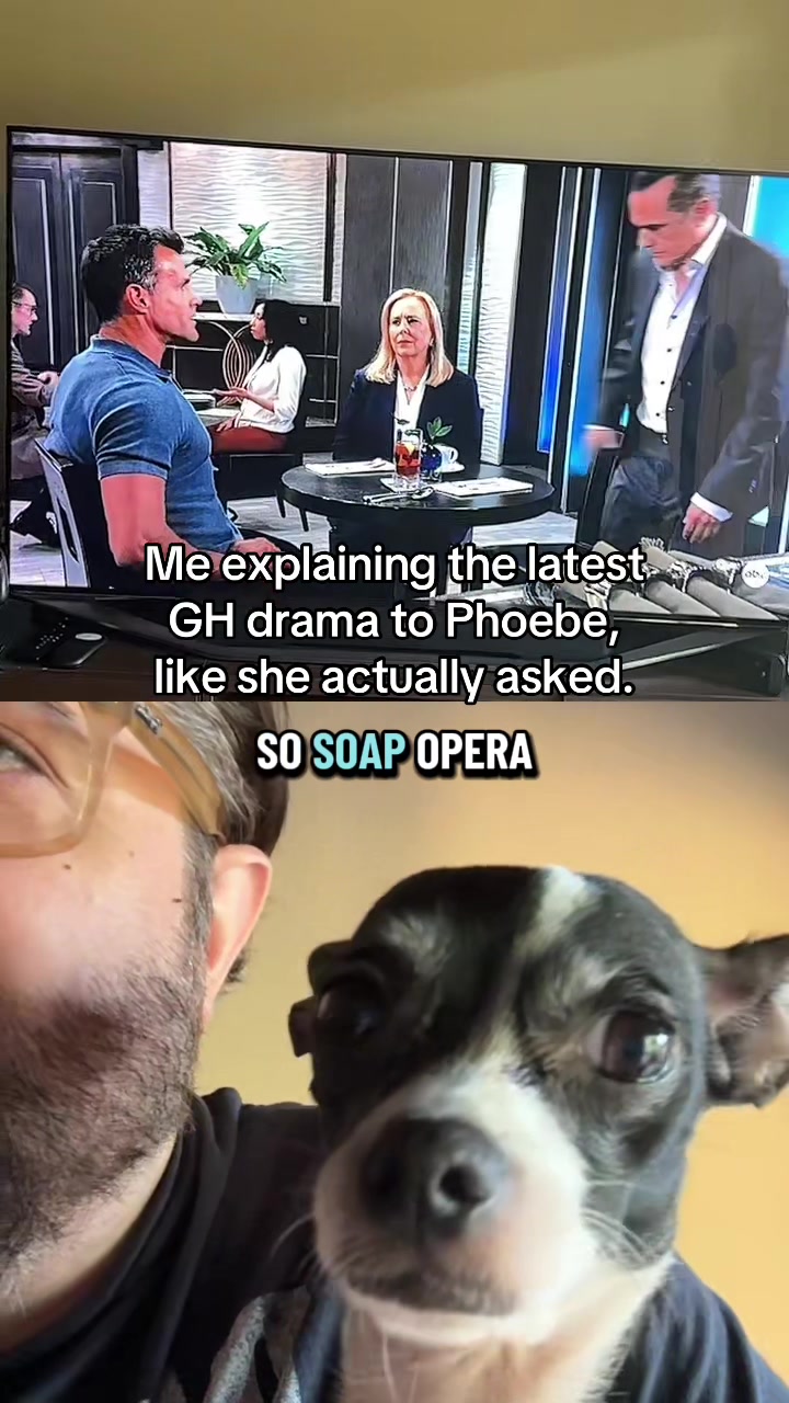 @TheVideoNook