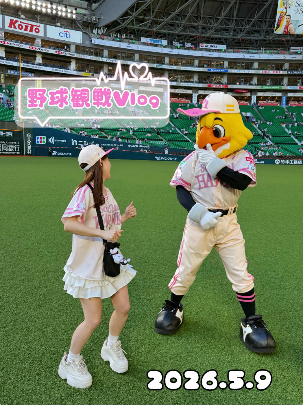 @りんちゃん⚾️やきう