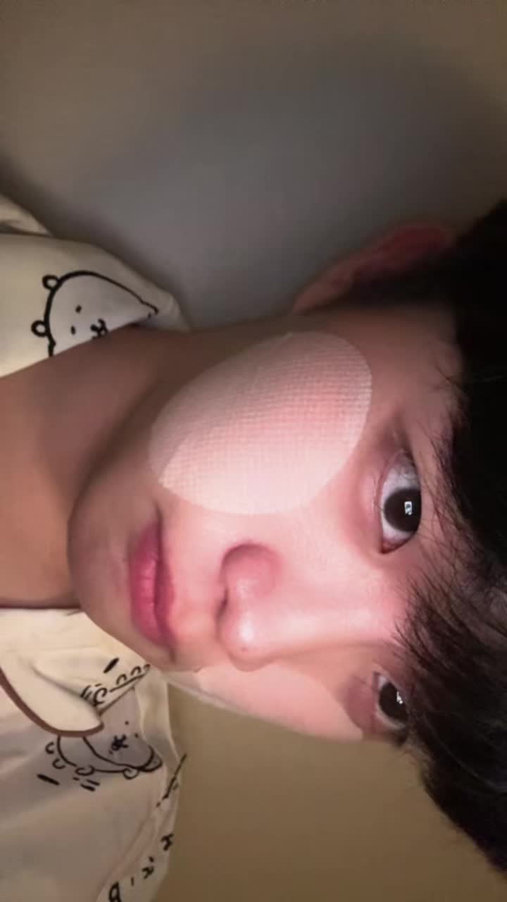 @고양이여덟마리키우는사람