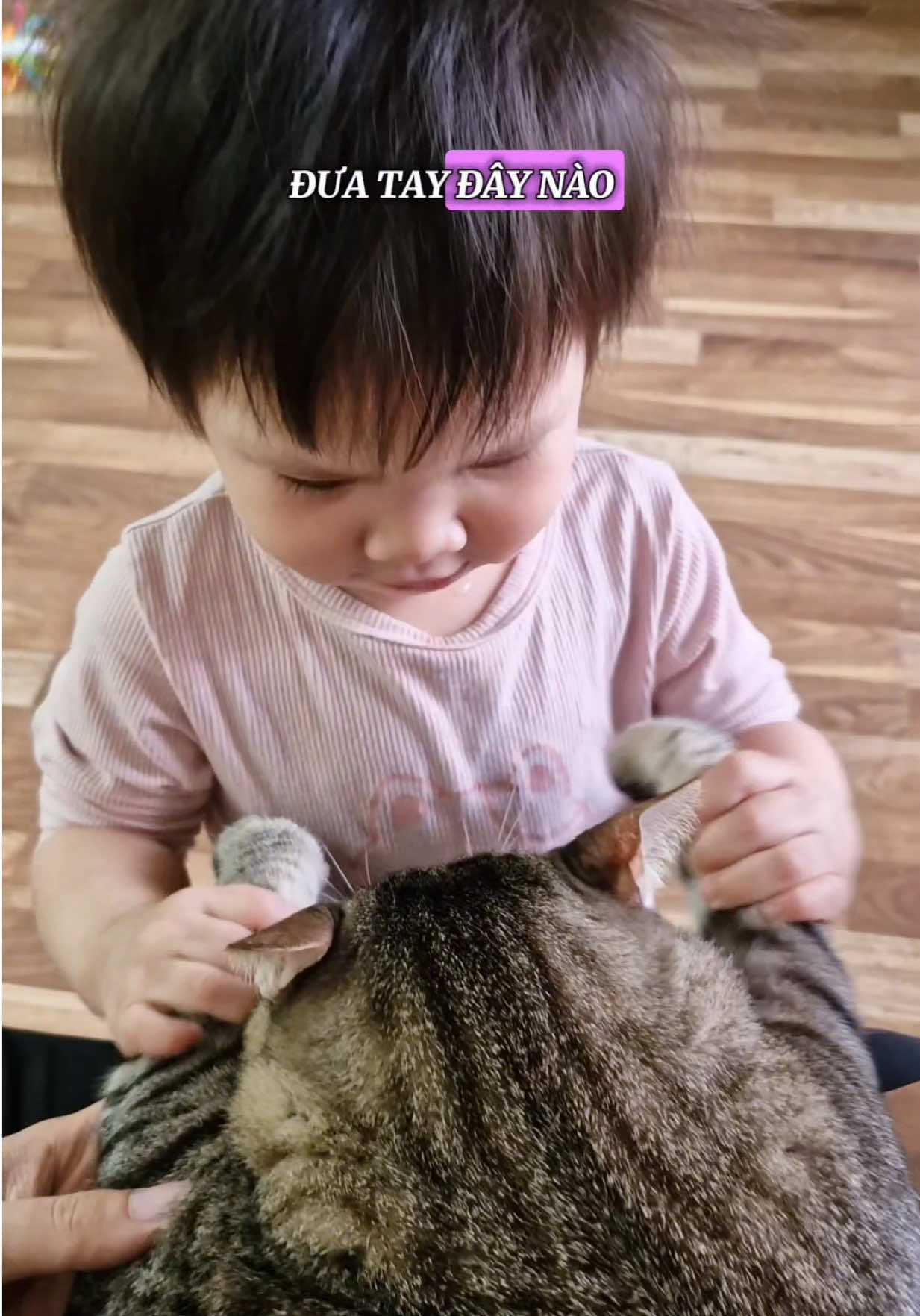 @Gia&ensp;Đ&igrave;nh&ensp;C&aacute;&ensp;Cua