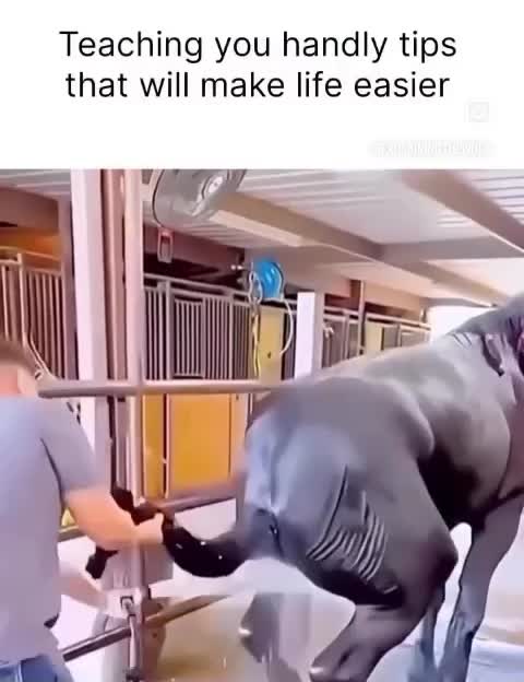 @jsmile101