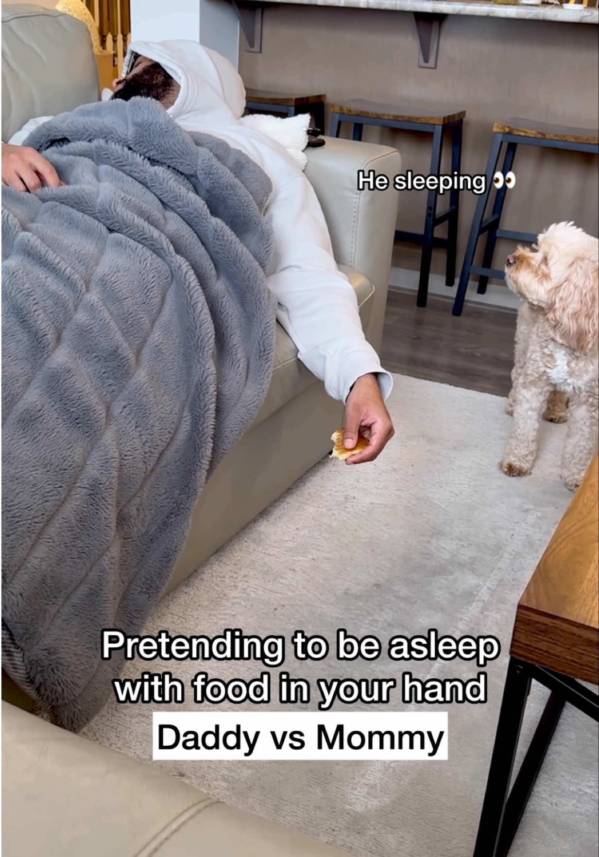 @LunaTheMiniCockapoo