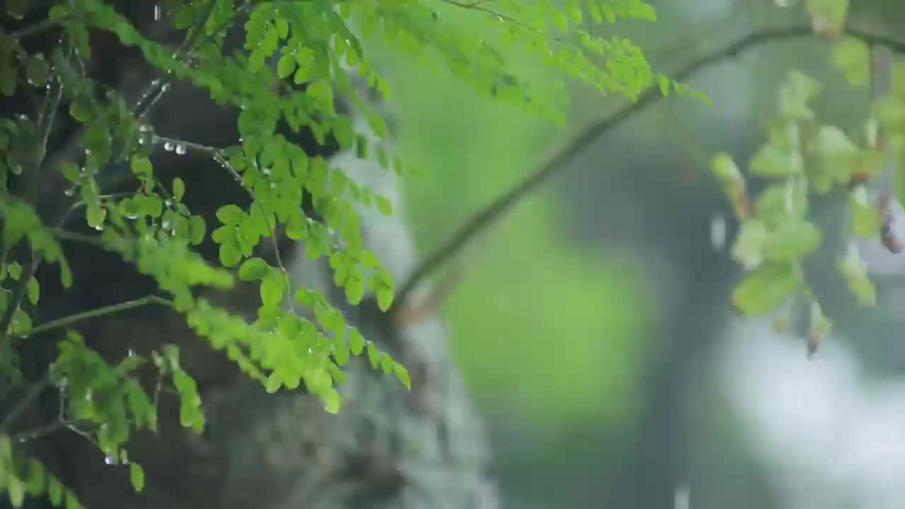 @微明
