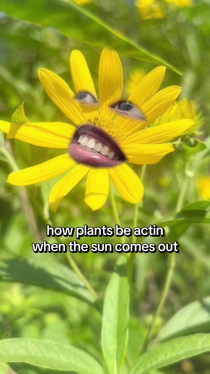 @Queen AyoKe