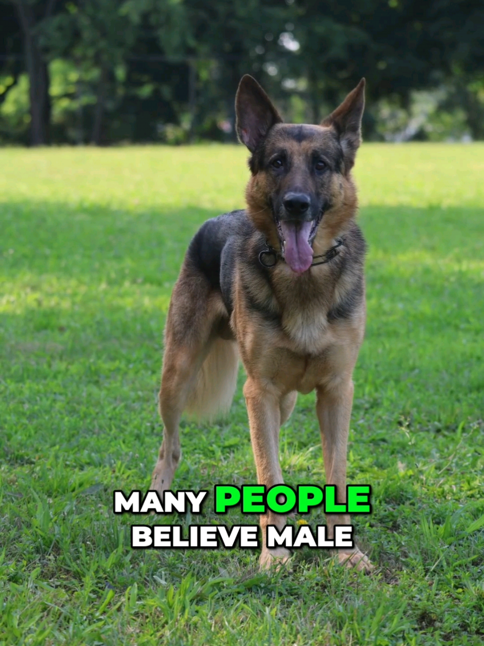 @GSD.PRIDE