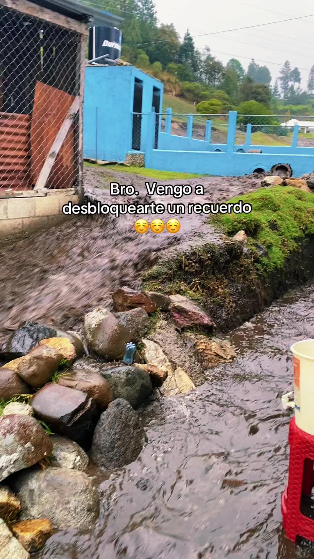 @☘️PÈREZ🇬🇹🎭
