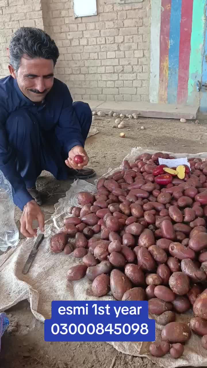 @Pakistan Kisan T.V