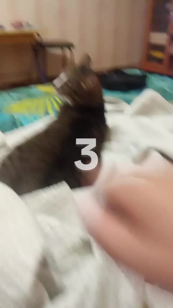 @vhos6goi