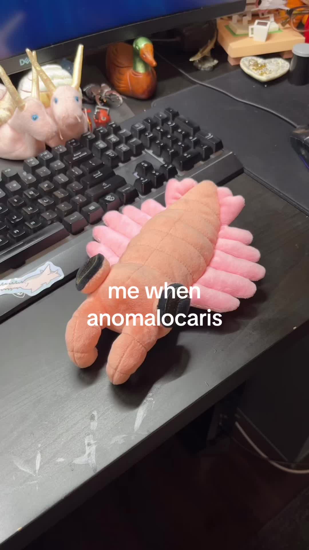 @sneepsnorp3d
