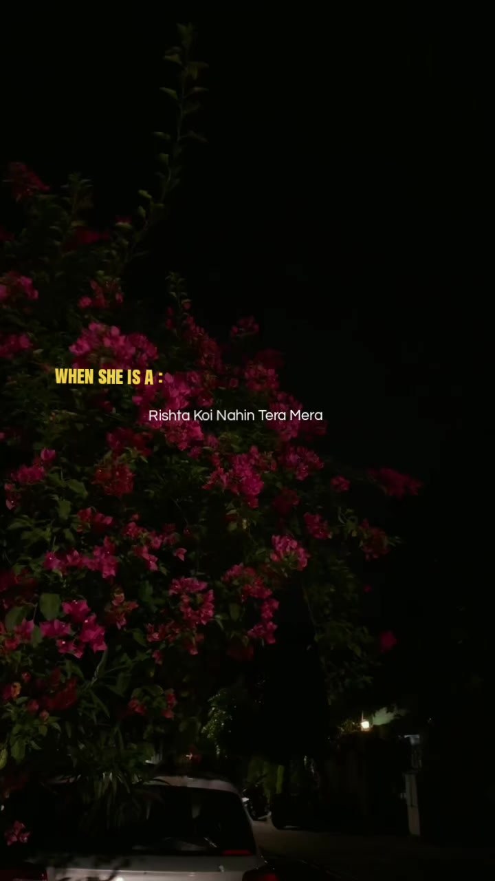 @ش؟ 𓍢ִ໋🌷͙֒