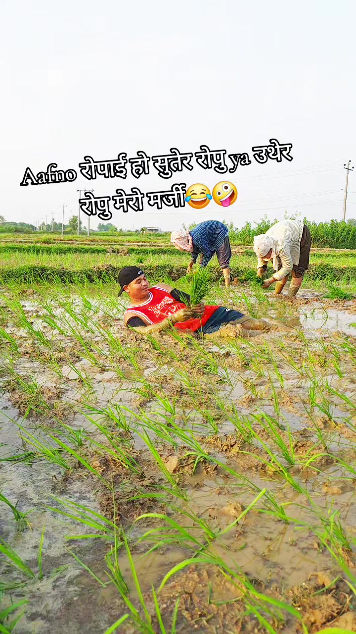 @Biren Rajbanshi Thak