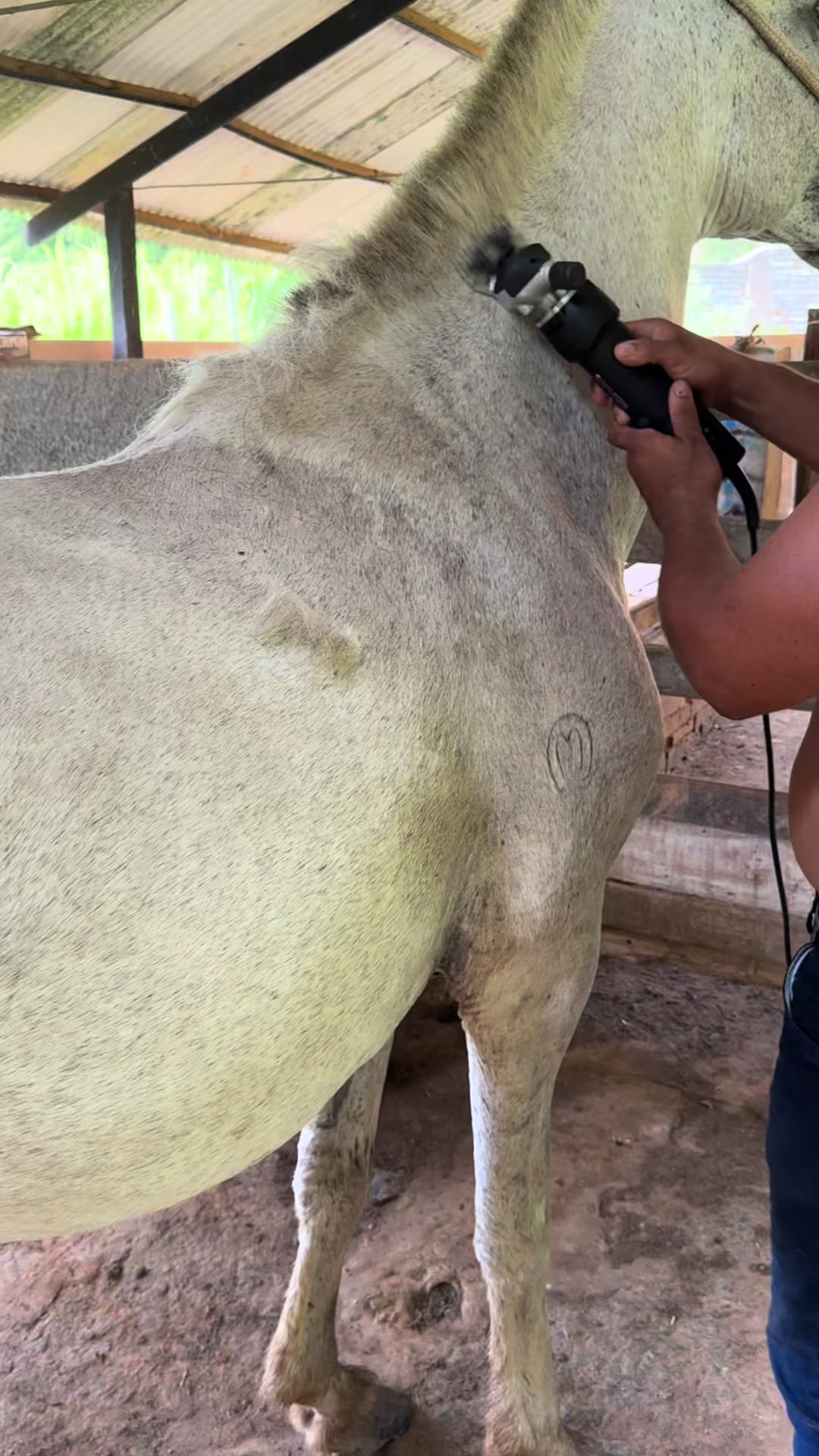 @Haras Recanto do Saraquino