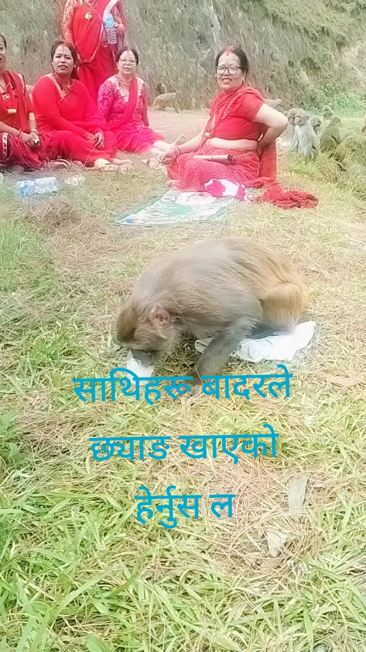 @Bijaya Meera