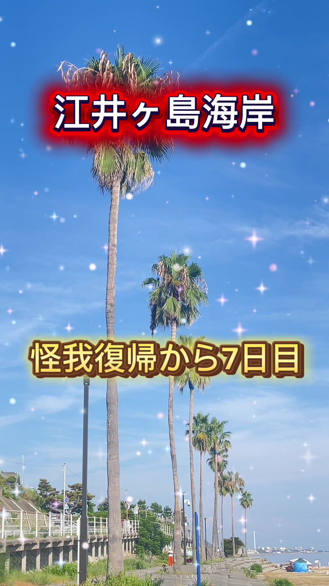 @新井正広