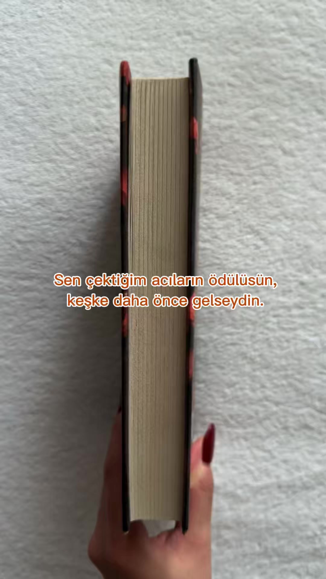 @bittenbyspicybooks