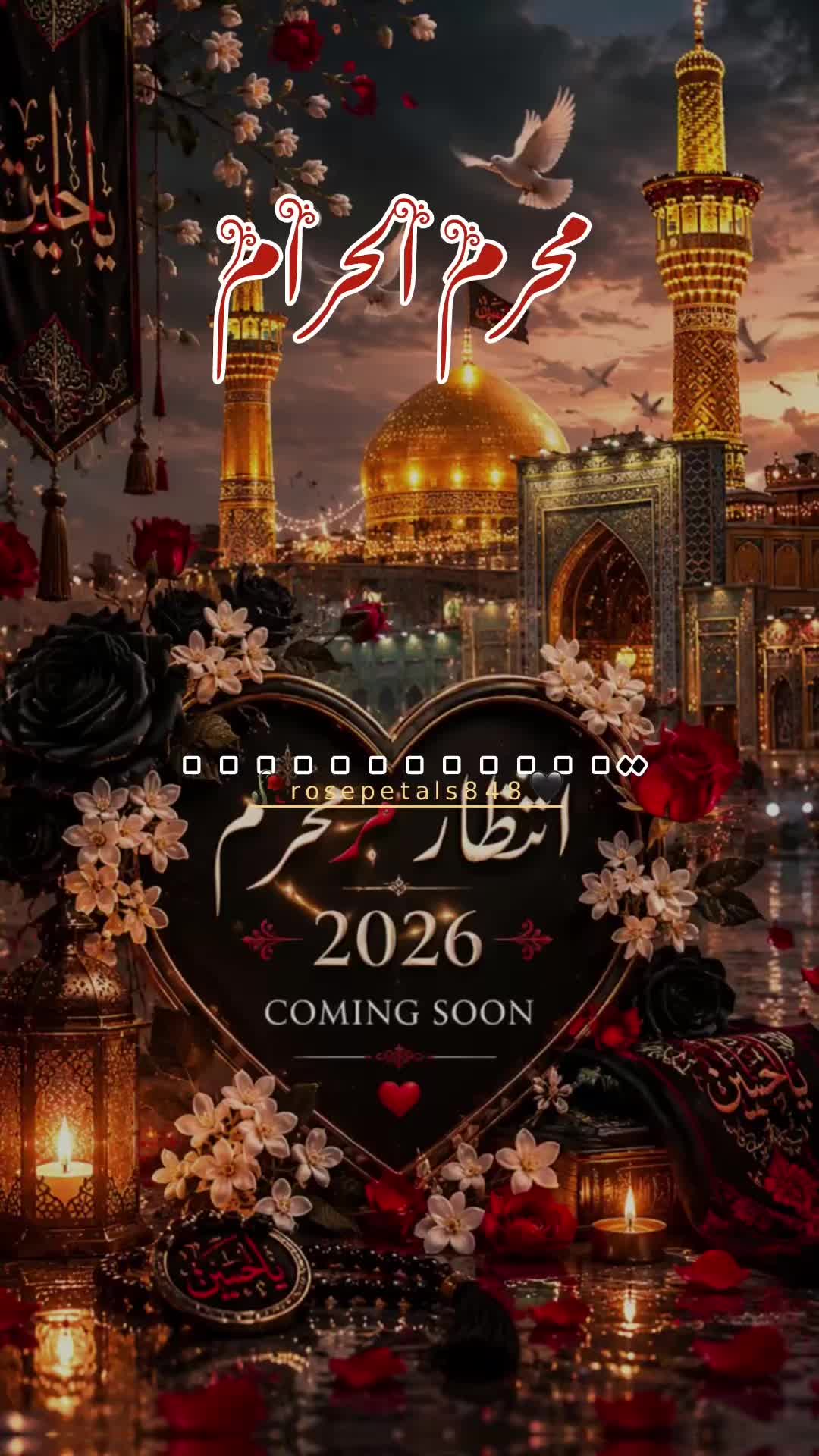 @👈🕋💚rosepetals848🤍🕌👈