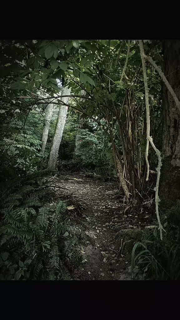 @DarkWonderland