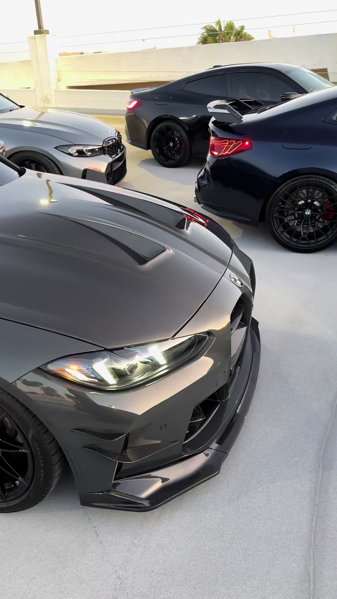 @speedbuiltcollective