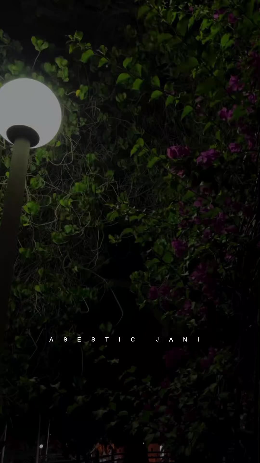 @ASESTIC JANI ๐ผ