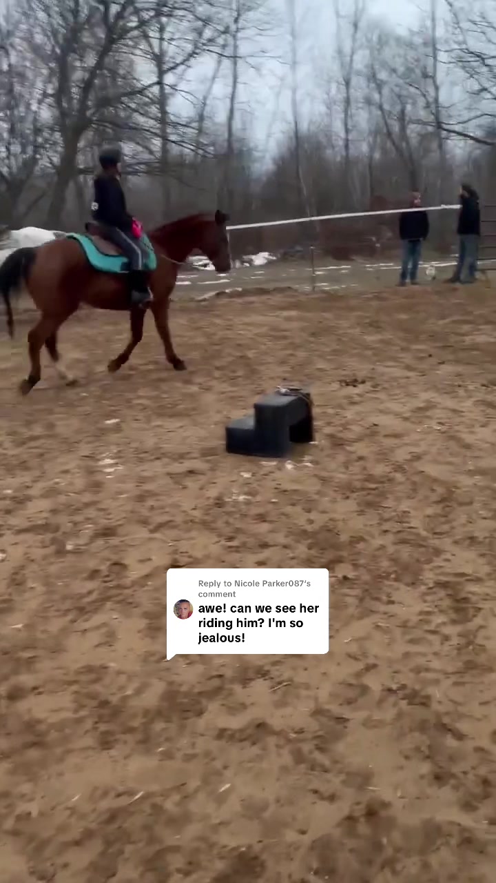 @Kaitlin