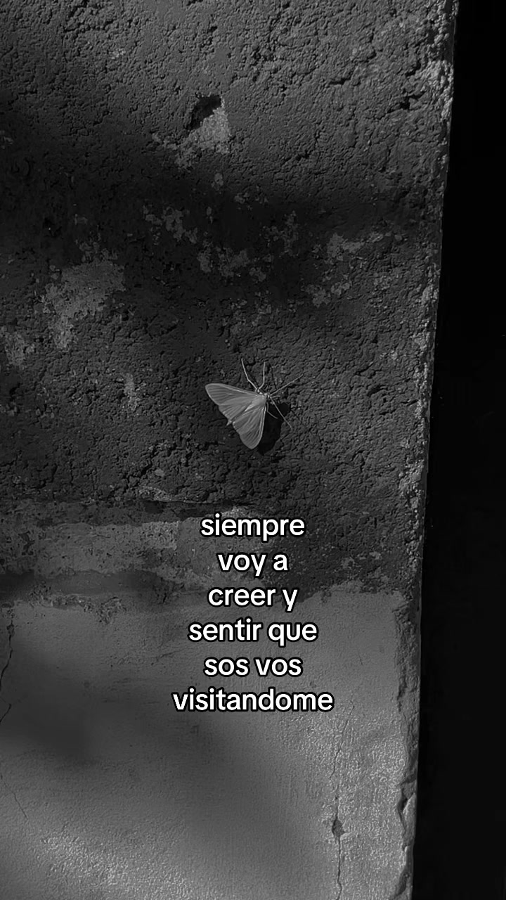 @Cami Perello | 🦋