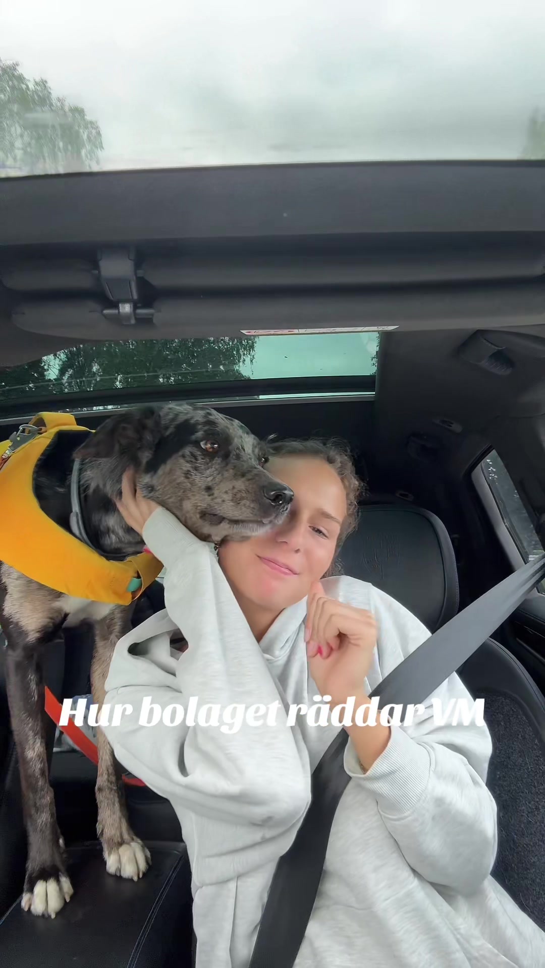 @Lunamarkovic